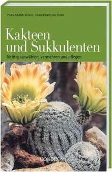 Kakteen und sukkulenten - kakteen,