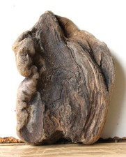 Treibholz Schwemmholz