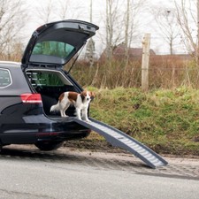 Trixie Klapp-Rampe Petwalk