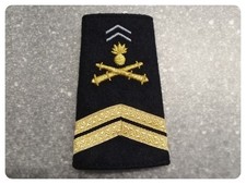 1x Schulterschlaufe eines