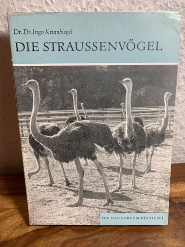 Die straußenvögel - die,
