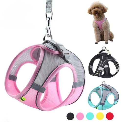 Welpen geschirr set - welpen, –