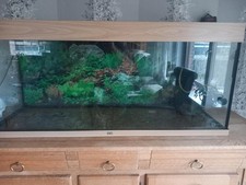 Juwel Rio 240 LED Aquarium