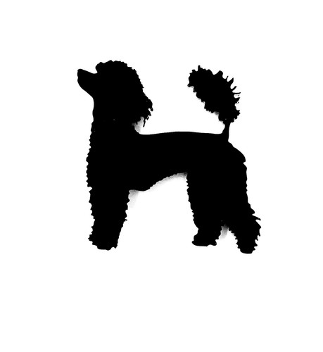 Kühlschrankmagnet pudel hund - kühlschrankmagnet,
