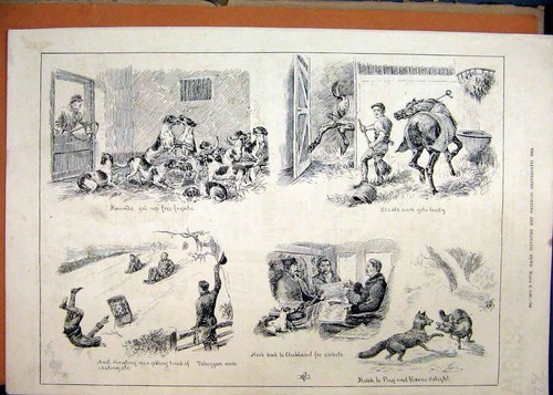 Alter antiker druck 1890 fuchs - antiker,