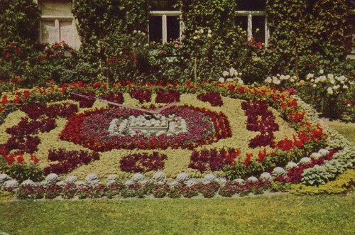 Greiz blumenuhr ddr - blumenuhr,
