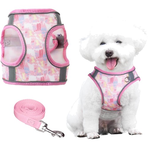 Hundegeschirr leine set nylon - hundegeschirr,