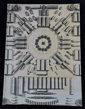 Octopus The world Encyclopedia