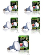 Exo Terra Daylight Basking