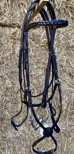 Mexikanische grackle trense - mexikanische,