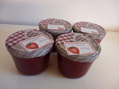 Selbstgemachte erdbeere - erdbeere,