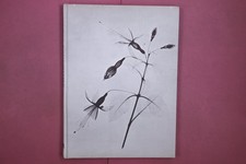 336438 Powell Benjamin