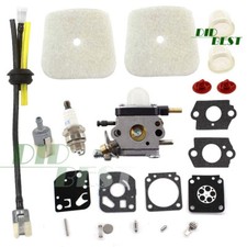 Vergaser für 2-Takt Mantis