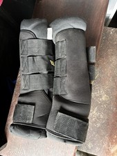 BOT Back On Track Horse