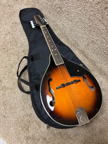 Fender 300 mandolin bag - fender,