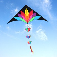 Großer Delta-Stranddrachen