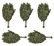 Dufte Momente 5x Birken Reisig