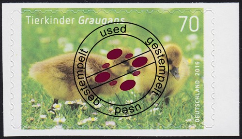 3222 tierkinder graugans - 3222, tierkinder: