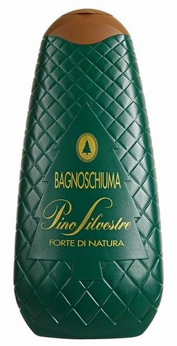 Pino silvestre classico - pino,