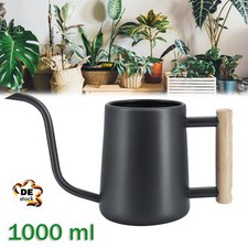 Gießkanne Edelstahl 1 L