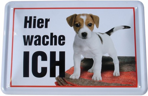 Blechschild 20x30 jack russel - blechschild,