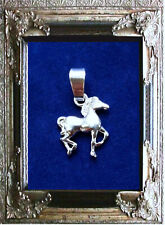 KETTENANHÄNGER PFERD HENGST