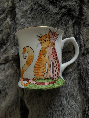 Jiesia fine bone - jiesia, katze