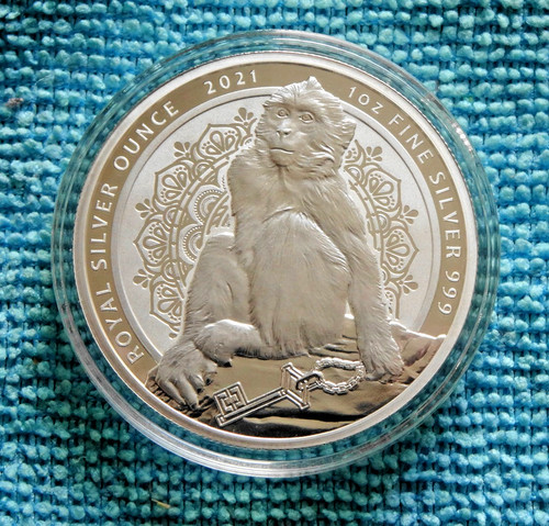 Gibraltar pounds berberaffe - gibraltar,,
