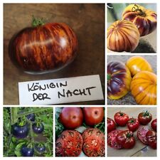Blaue Tomaten Samen Mischung -