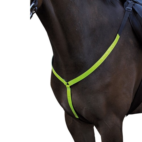 Horse guard reflex - guard,