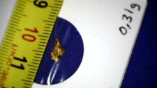 Echte goldnugget aus alaska - 1x,