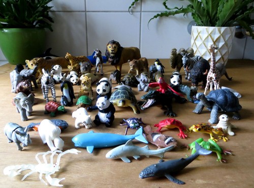 Zoo tiere wildtiere - zoo-tiere,