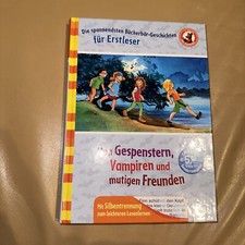 Von Gespenstern, Vampiren und mutigen Freunden * spannendes Antolin-Buch wie NEU