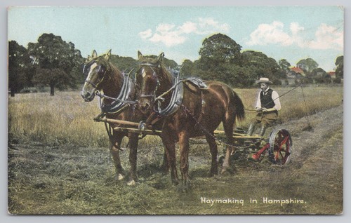 Heumacherei hampshire - in,