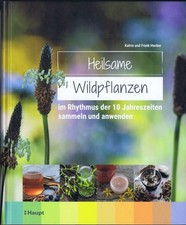 Heilsame Wildpflanzen 10