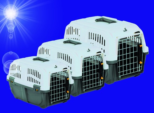 Hunde katze - 1a,