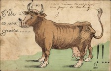 Künstler Ak Kuh mit dickem