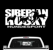Siberian Husky Hundesport Auto