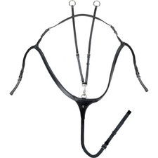 Waldhausen Schwarz VB