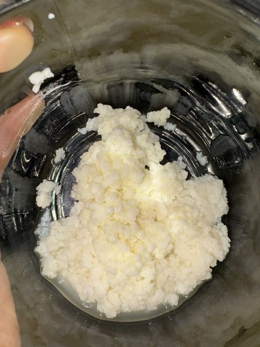 Kefir pilz kefirknollen - kefir, pilz,