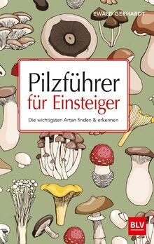 Pilzführer für einsteiger - pilzführer,
