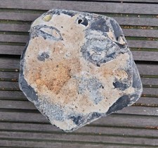 größerer Hühnergott Lochstein Haus Garten Ostsee Glück Deko