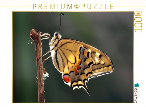 Calvendo puzzle - calvendo,