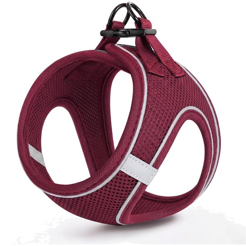 Hundegeschirr mesh - hundegeschirr,