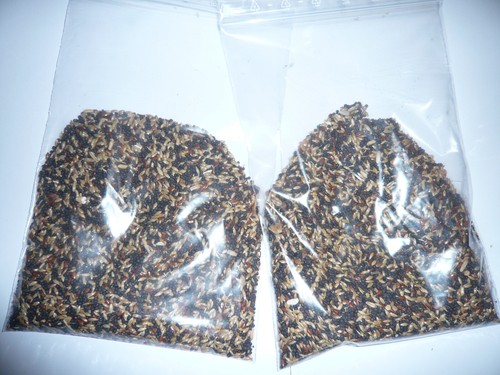 500 5 kg kanarienfutter - 500,