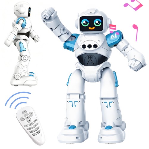 RC-Roboterspielzeug für