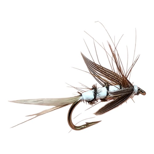 Trockenfliege maifliege - trockenfliege, x