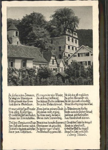 Hirsau schlossruine mit - schlossruine,