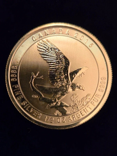 Canadian weißkopfseeadler - canadian,