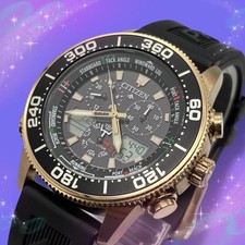 Citizen Promaster Chronograph